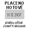 Vzorový otisk